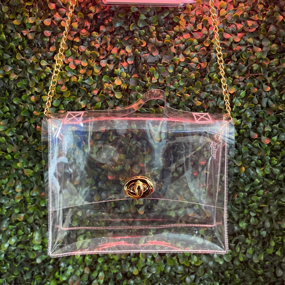 clear purse